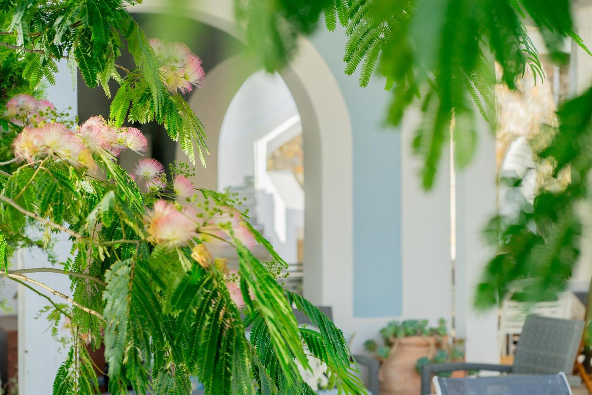 Villa Acacia Ponza Dış mekan fotoğraf