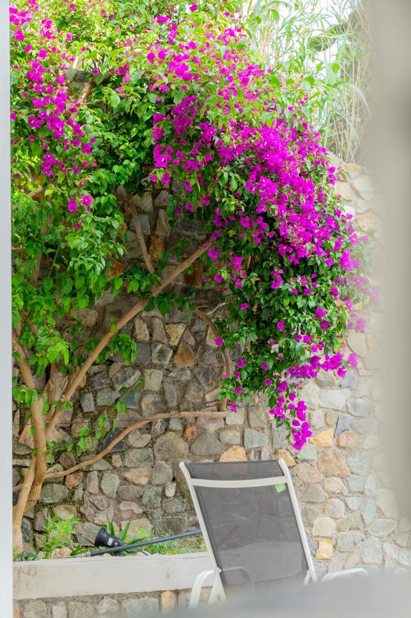 Villa Acacia Ponza Dış mekan fotoğraf