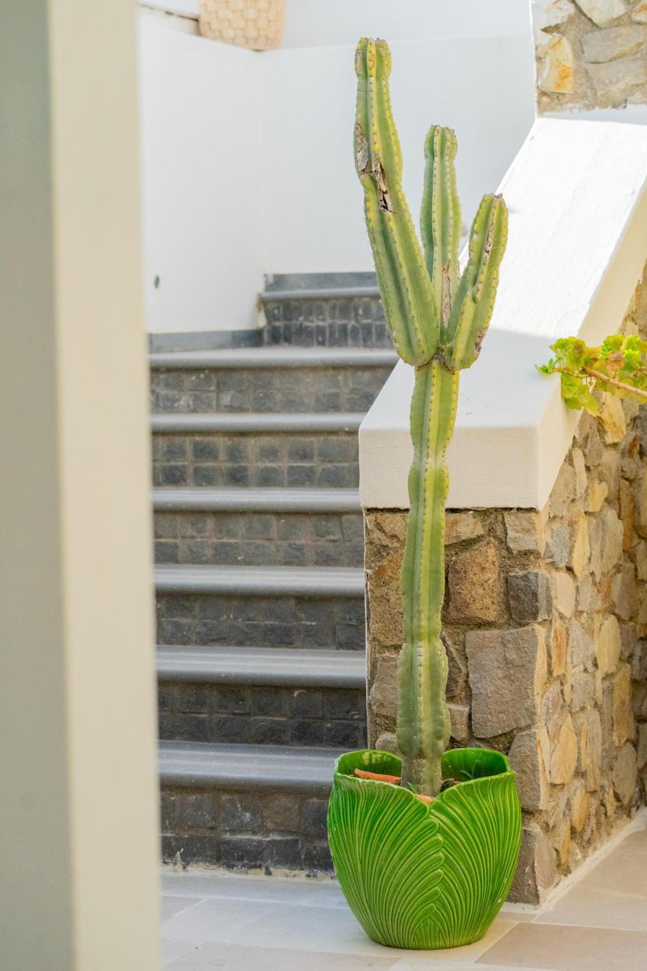 Villa Acacia Ponza Dış mekan fotoğraf
