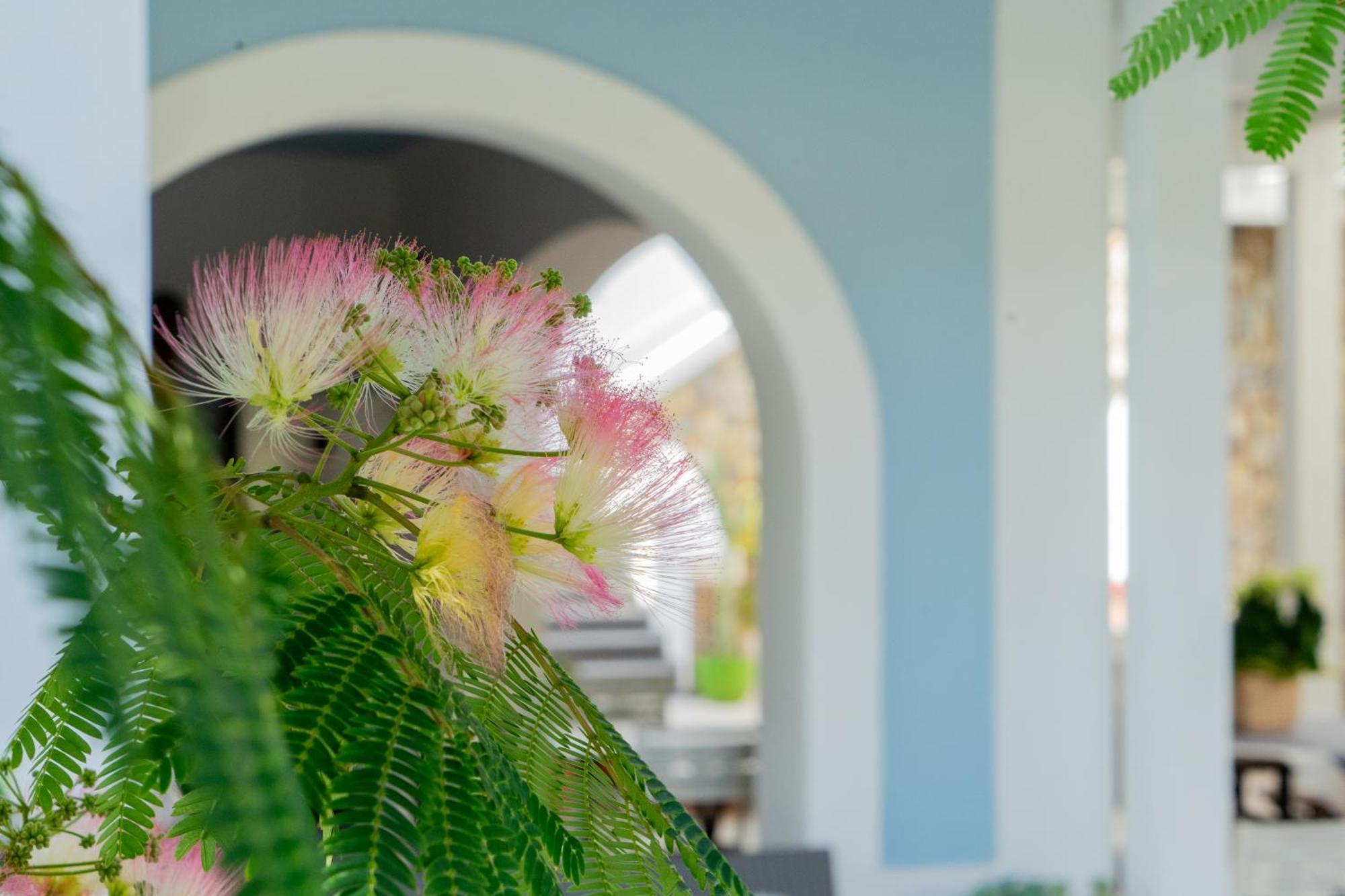 Villa Acacia Ponza Dış mekan fotoğraf